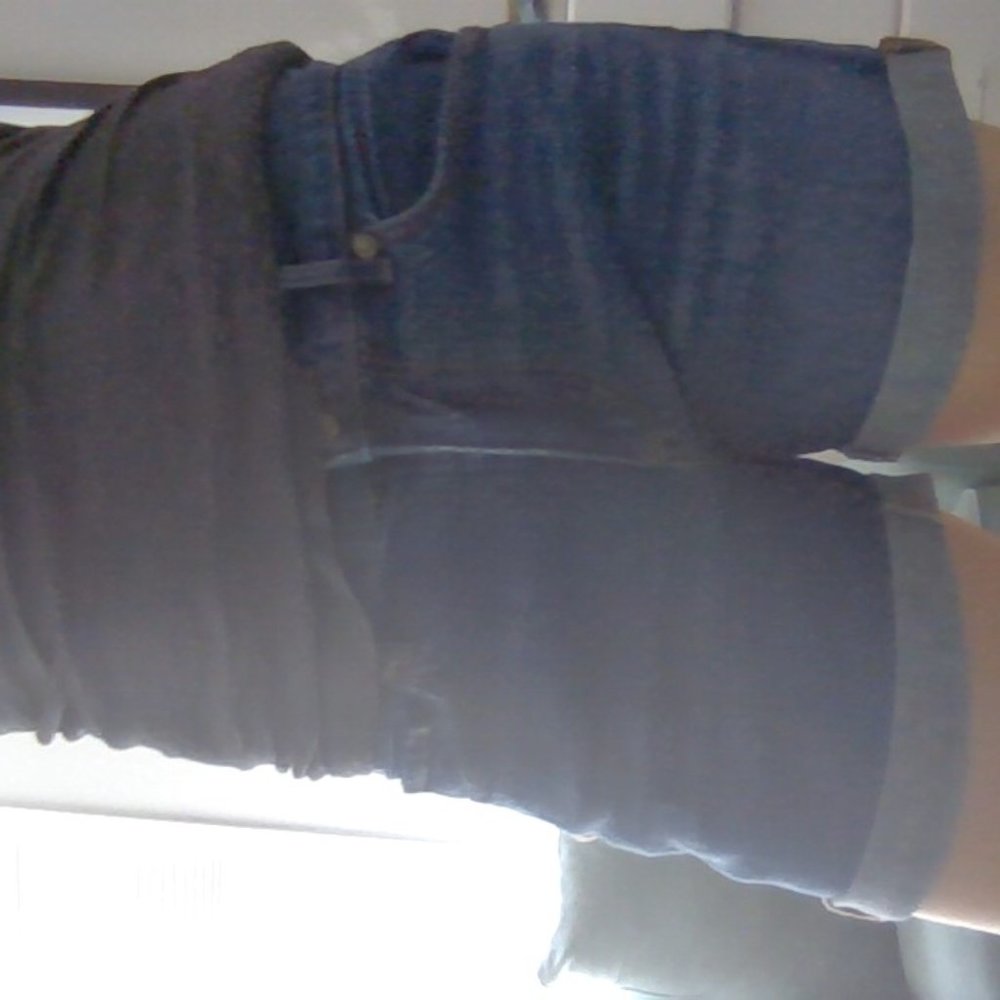 Ann Taylor Loft Jean Shorts